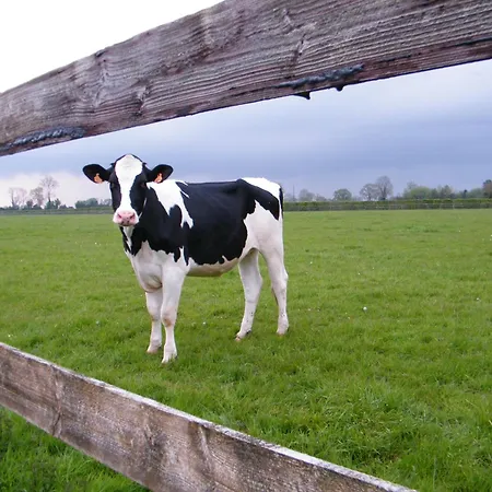 Сasa de vacaciones L'arra De La Roseraie Bonnebosq